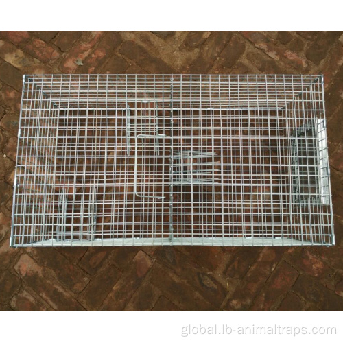 Live Bird Trap Repeating Sparrow Control Trap Wire Cage Manufactory